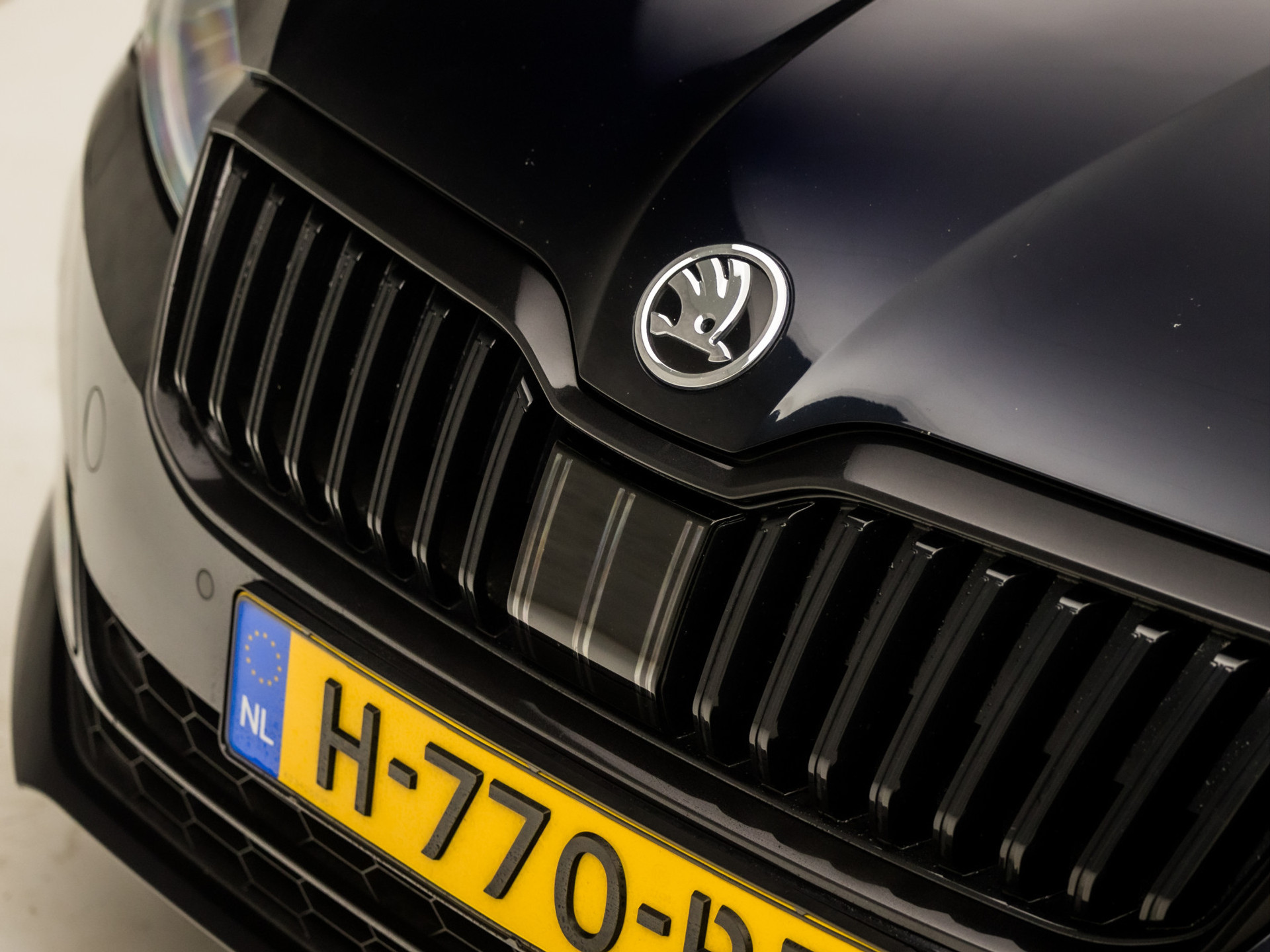 48649045-36.jpg
