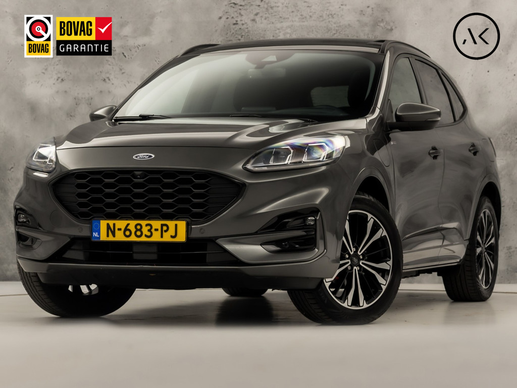 54408893